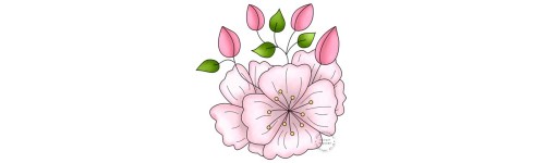 NATURE - FLORE