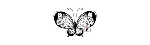 PAPILLON - INSECTE