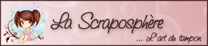 ScrapOsphere, la boutique