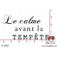 TAMPON LE CALME AVANT LA TEMPETE par Mauxane