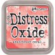 ENCREUR DISTRESS OXIDE ABANDONED CORAL - TIM HOLTZ RANGER INK