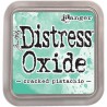 ENCREUR DISTRESS OXIDE CRACKED PISTACHIO - TIM HOLTZ RANGER INK
