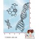 3 TAMPONS TRANSPARENTS ADN par l'Atelier de Caroline {attributes}