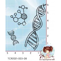3 TAMPONS TRANSPARENTS ADN par l'Atelier de Caroline