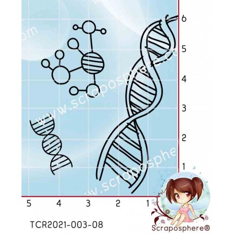 3 TAMPONS TRANSPARENTS ADN par l'Atelier de Caroline {attributes}