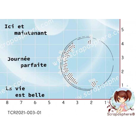 4 TAMPONS TRANSPARENTS ETIQUETTE RONDES TEXTES par l'Atelier de Caroline