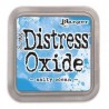 ENCREUR DISTRESS OXIDE CRAKED PISTACHIO - TIM HOLTZ RANGER INK