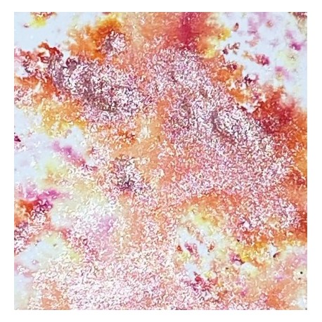 SHIMMER POWDER - NUVO - FANTAIL FIRECRACKER {attributes}