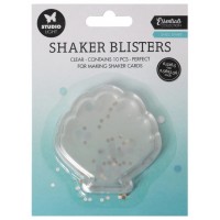 SHAKER COQUILLAGE - LOT DE 10