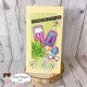 10 TAMPONS VACANCES par l'Atelier de Caroline {attributes}