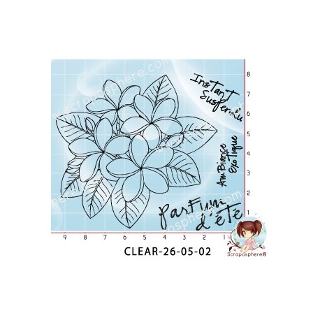 TAMPONS FLEURS DE TIARE MONOI par l'Atelier de Caroline {attributes}
