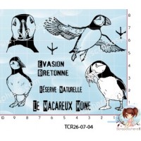 TAMPONS OISEAU MACAREUX MOINE par l'Atelier de Caroline