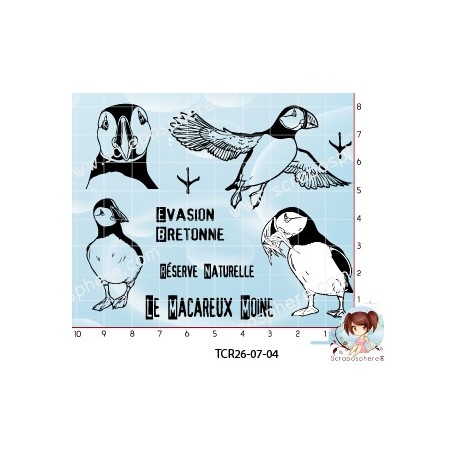 TAMPONS OISEAU MACAREUX MOINE par l'Atelier de Caroline {attributes}